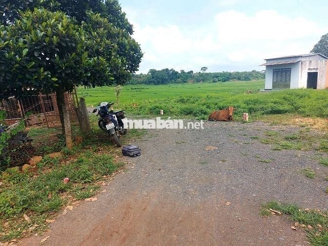 Đất tc sát chợ VD3, trường c1,c2, MG,  cách trung tâm TP BMT 20p