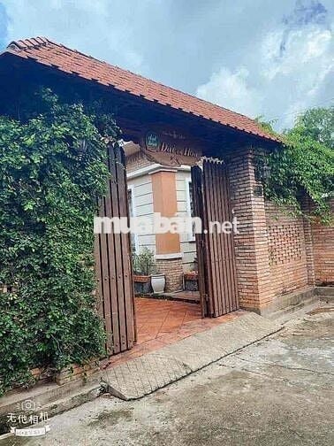 CHO THUÊ BIỆT THỰ SÂN VƯỜN TƯƠNG BÌNH HIỆP THỦ DẦU BD