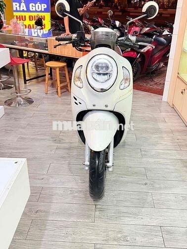 Honda Scoopy 2024 Trắng