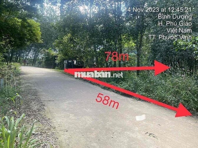 Ngân hàng thanh lý 3.554m² Tại TT Phước Vĩnh, Phú Giáo, Bình Dương