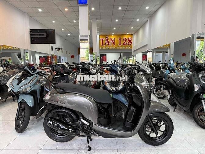 SCOOPY 2019. Xe Zin Êm Đẹp. Odo Thấp. Chủ RG
