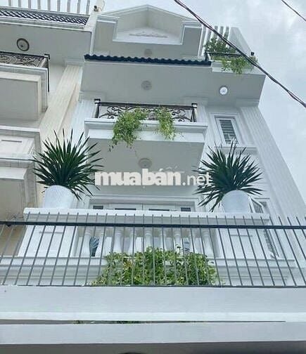 Cho thuê nhà HXH 1017/2B Lạc Long Quân P.11 Q.Tân Bình