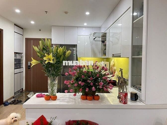 Florence, Mỹ Đình 3N đủ đồ đẹp,căn góc 85m2 chỉ 15,5tr/th có slot otô