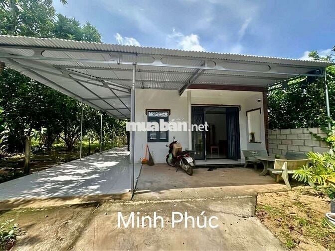 Chủ nhà ngộp bank cần thanh lý gấp căn nhà vườn 210tr