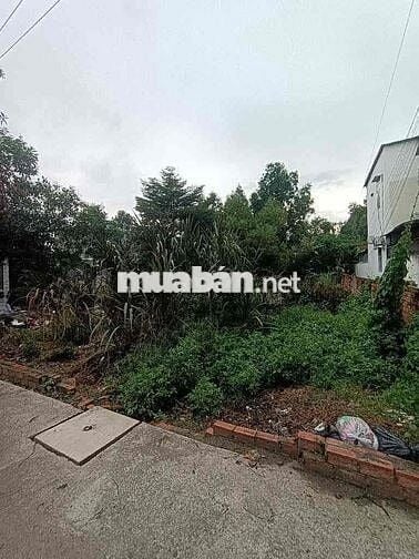 200M2 ĐẤT THỔ CƯ 13X16 FULL THỔ ĐƯỜNG XE HƠI TÂN HIỆP GẦN THỊ TRẤN HM