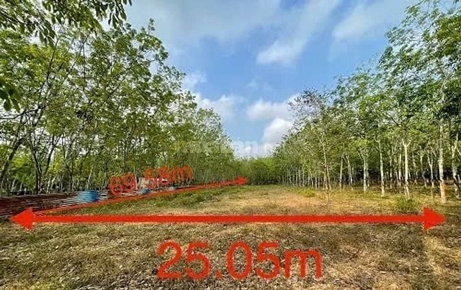 Công ty Đấu giá hợp danh Lam Sơn Sài Gòn THÔNG BÁO ĐẤU GIÁ TÀI SẢN