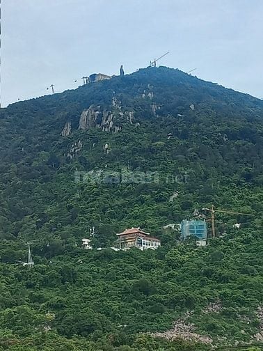 Cần bán đất vườn gần núi Bà Đen 