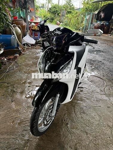 vison 2022 trang đen  doi cao zin dep