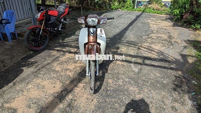 Honda Super Dream 110 Nâu Trắng Đã tân trang