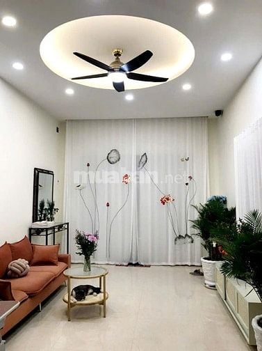 Chính chủ bán biệt thự mini xây đẹp  4mx19m, đường Huỳnh Văn Bánh, HCM