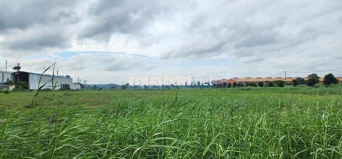 BÁN ĐẤT KCN NAM THUẬN, ĐỨC HÒA 190USD/M2 DIỆN TÍCH VỊ TRÍ THEO NHU CẦU