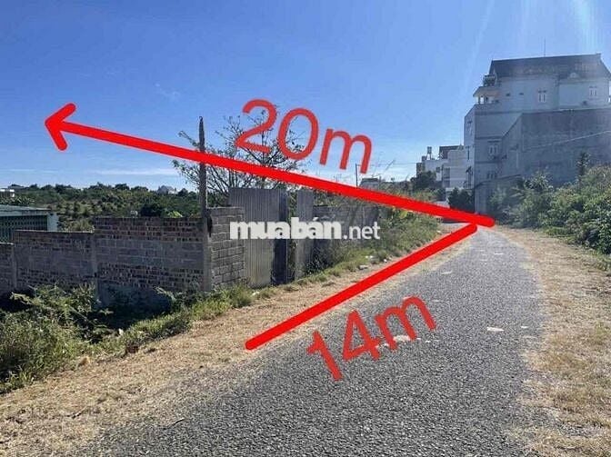 Thanh lý lô đất full thổ 280m2 tại Hoà Ninh, Di Linh, Lâm Đồng