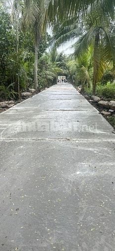 ĐẤT NỀN GIÁ RẺ TẠI  XÃ PHƯỚC THẠNH MỸ THO 