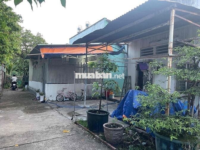 Bán nhà vườn cấp 4 - 139m2 - Đường 2m