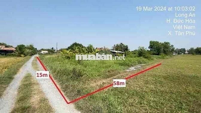 Ngân hàng Thanh Lý đất tại Tân Phú, Đức Hòa, Long An. DT: 875m2