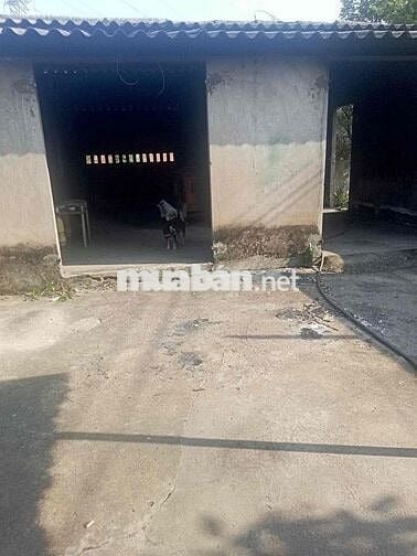 cho thuê mặt bằng Kinh Doanh tại Dĩ An