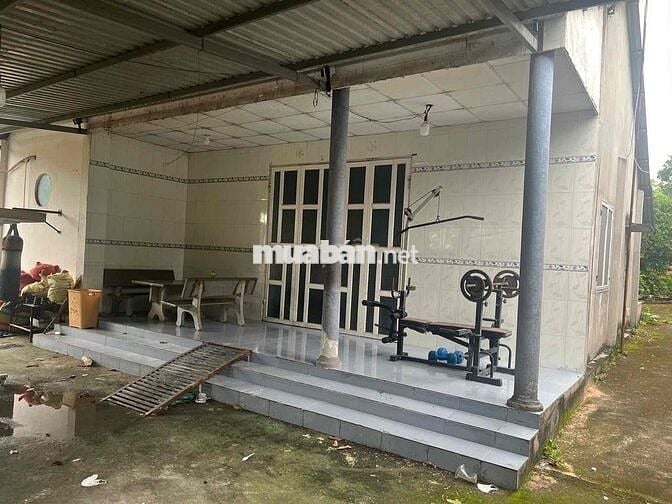 Cần bán gấp nhà và đất xã An Phước, ( ấp 4 Tam An Cũ)