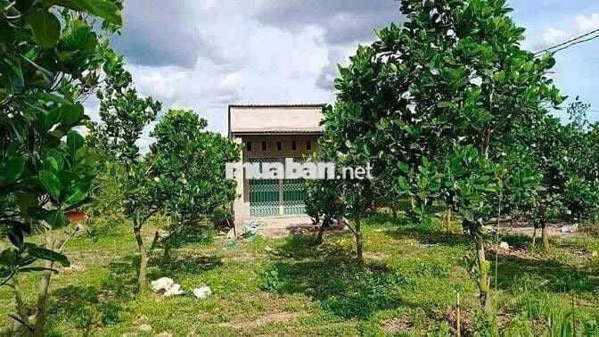 🌿 Không ồn ào, không vội vã – chỉ là bình yên