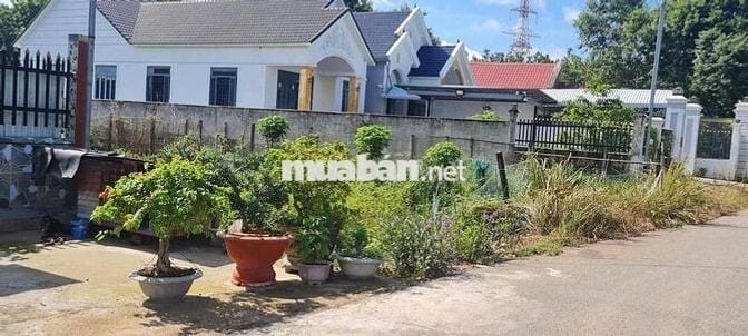 Bán Gấp Đất Giá Rẻ Bàu Bàng 500m2 420tr.Sổ riêng.Gần chợ,Xây cho thuê