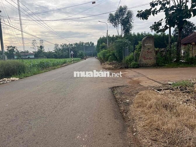 mặt tiền nhựa ngang 135m tổng 2.3 hecta ở xã suối nho sẵn 300 thổ