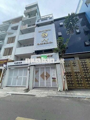 Cho thuê nhà nguyên căn Quận 1 KD Spa, Nha Khoa, Thẩm Mỹ, CHDV