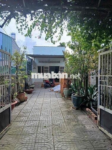 Nhà cấp 4, full thổ cư, mặt tiền 387, Tân An Hội