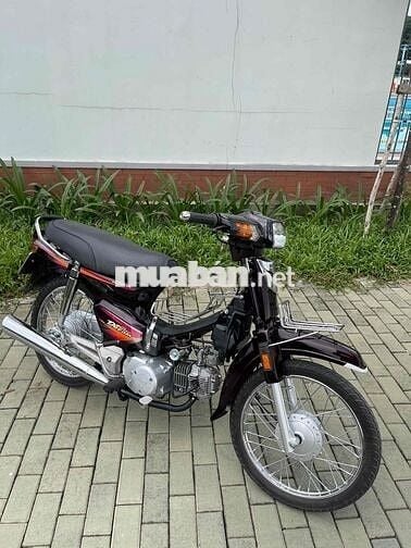Honda Super Dream 110cc Nâu Đã tân trang