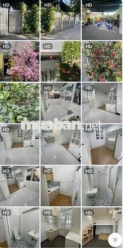 phòng trọ thoáng mát sân vườn gần ga metro bình thái