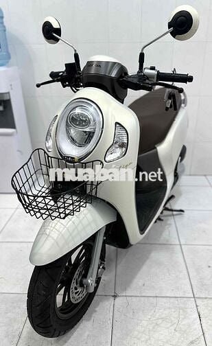 Honda Scoopy Smarkey 2024 Trắng