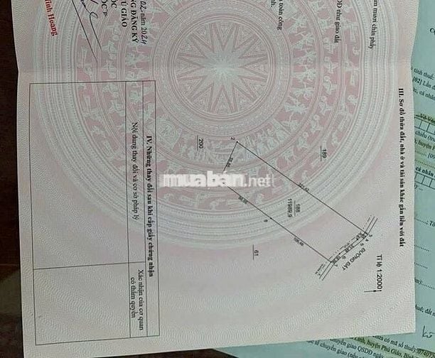 Bán Gấp Lô Đất Trồng Cây Cao Su Ở DH519 12000m2