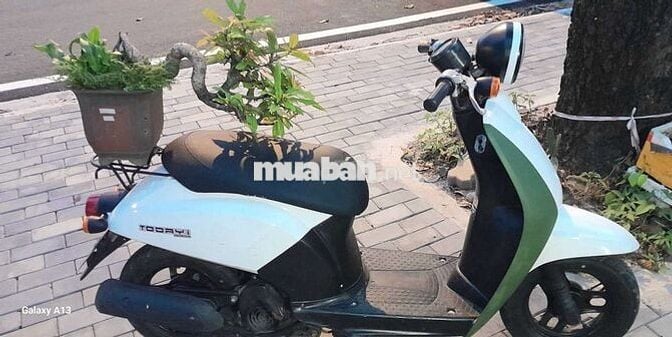 Honda Today Trắng Xanh lá