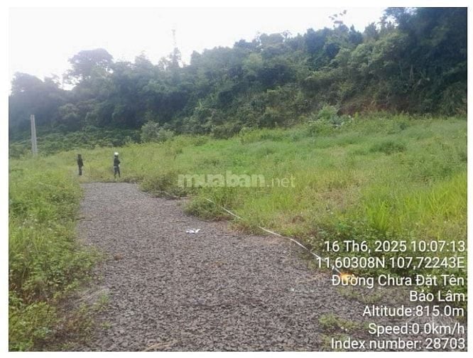 BÁN ĐẤU GIÁ TS MSB TẠI BẢO LÂM (NAY LÀ P2 BẢO LỘC, LÂM ĐỒNG)