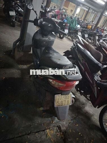 Cần bán gấp về quê