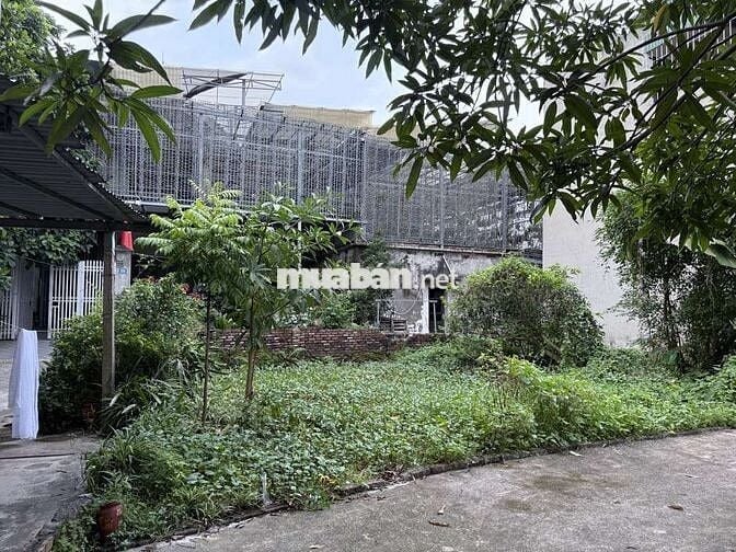 Bán đất nền khu bát tràng gia Lâm diện tích 105m2, giá 9tỷ