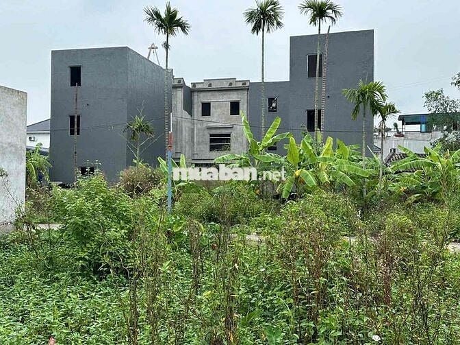 Đất 60m2 ngang 5,2m HXH Xích Thổ, Hồng Thái 1,02 tỷ đồng