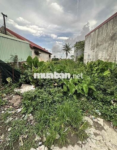 Đất 77m2 HXH 3m Hoàng Mai, Đồng Thái chỉ 1,35 tỷ đồng