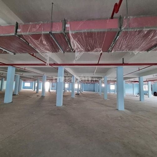 Cho thuê kho xưởng KCN Hải Sơn,Tân Đô , Tân Đức, Long An, PCCC tự động