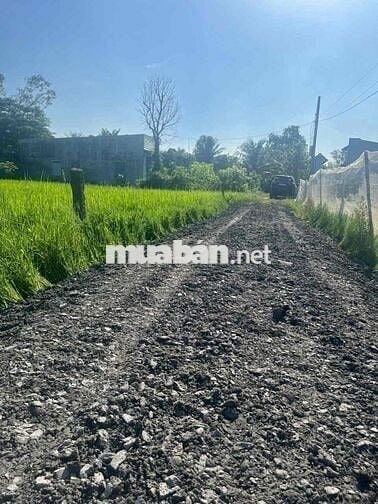 500m2 đường số 2 bình lợi 1ty3 quá rẻ Đức Hoà Long An