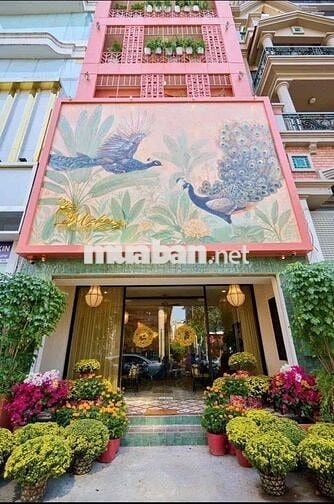 Cho thuê nhà mặt tiền Nguyễn Đình Chiểu diện tích khủng giá chỉ 52tr