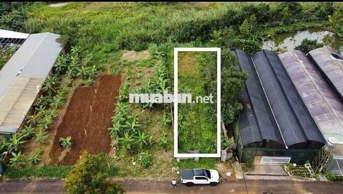 Bán đất nở hậu 355m² ngay trung tâm P2 Bảo Lộc,  giá chỉ 475 triệu