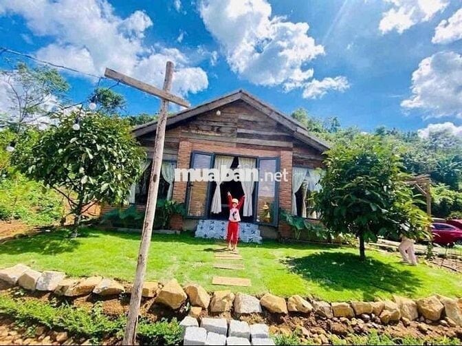 🔥 Bán Gấp Lô Đất Sào Nghỉ Dưỡng – Đại Lào, P.3 Bảo Lộc 🔥