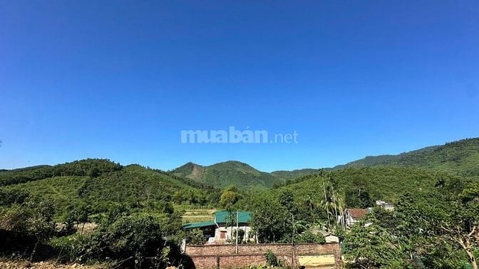 Chỉ hơn 4 triệu/m2 bán 1237m/200m thổ cư tại Yên Trung, Thạch Thất