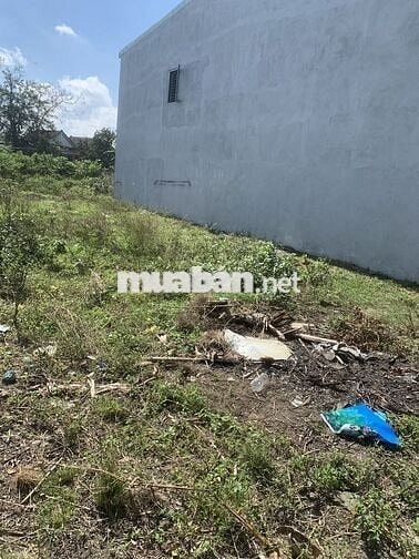 ĐẤT THỔ CƯ CÓ SỔ ĐỎ HOÀ PHƯỚC  100M2