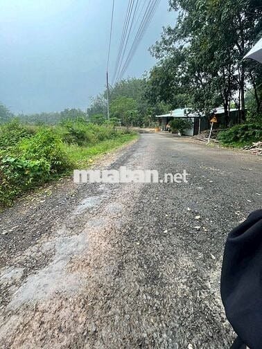 Lô thổ cư 350m2 mặt tiền đường nhựa thông liên xã rộng 19m. Ngay KCN