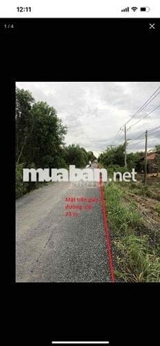 Bán đất mặt tiền H Tân Phước- TGiang( Đồng Tháp)