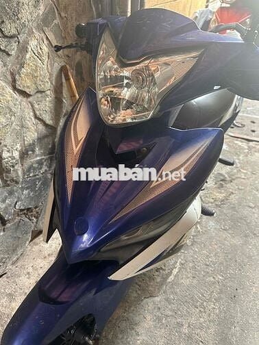 ex 135 bstp ngay chủ