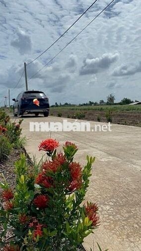 💸Giá chỉ có #189tr cho 1lô đất có thổ cư đường oto tại Tân Phú Đông