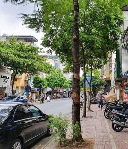 Bán đất tặng nhà mặt phố Ngọc Lâm, vị trí đắc địa 