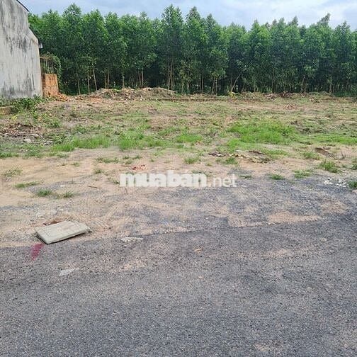 MẶT TIỀN NHỰA 6M, THỔ CƯ 100% SAU LƯNG UB XÃ AN VIỄN TRẢNG BOM