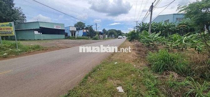 Chủ cần bán lô đất Mặt tiền Nguyễn Hoàng thanh bình thuộc xã Bàu Hàm